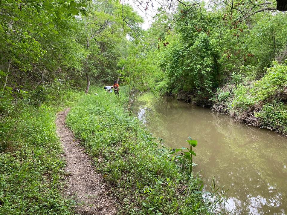 Quarterly photo monitoring by the urban riparian team at the control section of the creek in April 2021.